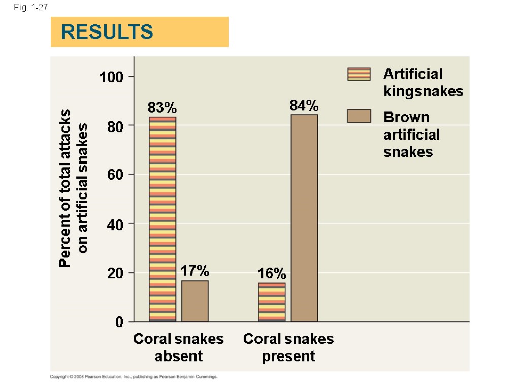 Fig. 1-27 Artificial kingsnakes Brown artificial snakes 83% 84% 17% 16% Coral snakes absent